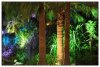 10/jardin a Bahrain (Small).jpg